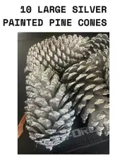 10 Silver Painted Large Pine Cones | Decorative Pine Cones | Christmas Decos