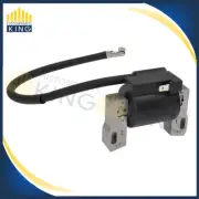 Ignition Coil Fit Briggs & Stratton 592846 691060 799651 499447 843931 Engine