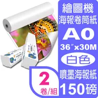 在飛比找PChome24h購物優惠-彩之舞 150g (A0) 2卷/組 高彩噴墨海報紙-防水 