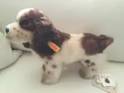 Steiff Mohair Spaniel Dog, “Lupi” – with tags #031670