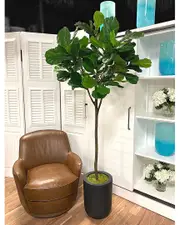Creative Displays 7ft Fiddle Leaf Tree In A Fiberstone Planter