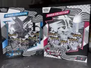 Pokemon TCG Scarlet & Violet Black Bolt & White Flash Binder Collection