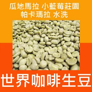 1kg生豆 瓜地馬拉 小藍莓莊園 帕卡瑪拉 水洗-世界咖啡生豆《咖啡生豆工廠×尋豆~只為飄香台灣》咖啡生豆 咖啡豆 精品