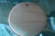 Remo 11" Banjo Renaissance(R) Head, Low Collar, Coated, BJ-1100-L6