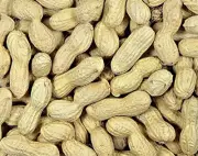 Organic Raw Whole Peanuts (Shelled) Non-Roasted Free Shipping 1kg
