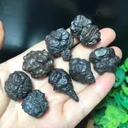 103g 8pcs Natural egypt desert stone black king kong Pinecone Prophecy stone 147