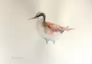 Phalarope, Birds, Watercolor artwork, Handmade, Original painting on paper