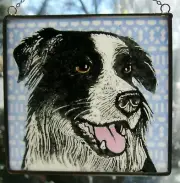 Border Collie Dog Windshop stained glass suncatcher 4"x 4" #242