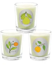 Qualitas Candles 3pc Candle Set - Grapefruit, Yuzu, & Orange Tree