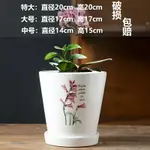 陶瓷花盆輕奢大號家用蘭花盆超大特大帶托盤藝術/花盆/綠植盆/養植盆/養花盆/陶瓷盆/塑料盆