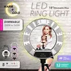 19” 5600K Dimmable Diva LED Ring Light Diffuser Stand Make Up Studio Mirror Mel