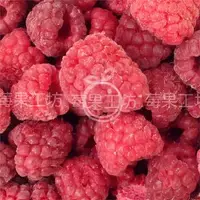 在飛比找森森購物網優惠-【莓果工坊】新鮮冷凍覆盆莓 (中國)
