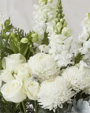 Monaco Vase Arrangement - Extra Large, White