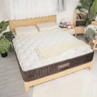 在飛比找momo購物網優惠-【LoveFu】撐腰樂眠床-標準雙人5尺(雙人床墊/支撐/獨