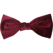 Tasha Velvet Bow Barrette in Burgundy at Nordstrom One Size
