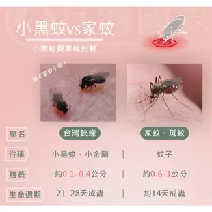 【克蠓】小花蔓澤蘭第三代配方 小黑蚊/一般蚊蟲 防蚊液 80ml
