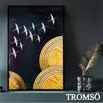 北歐有框畫 星辰繡鳥  /WA183 40X60CM  台灣現貨 北歐,有框畫,板畫,【TROMSO】