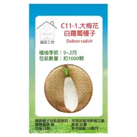 在飛比找momo購物網優惠-【蔬菜工坊】C11-1.大梅花白蘿蔔種子