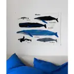 WOOLI 韓國代購 WARMGREYTAIL 掛布 居家擺飾 海報 牆裝飾 鯨魚 非常律師禹英禑 鯨魚掛布 居家佈置
