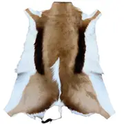 NSW Leather Springbok Hide Rug