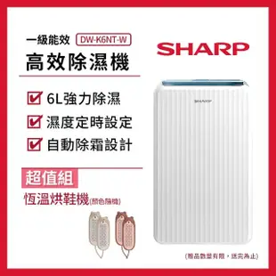 【SHARP 夏普】一級能效6公升高效除濕機+恆溫烘鞋機(DW-K6NT-W)