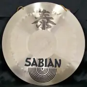 Sabian Prototype 14" Gong Cymbal/New-Warranty/1306 Grams/Model # ZZC014/RARE