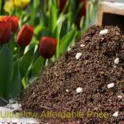 Bacillus Microbial Inoculum Activated Baosong Soil Essence Flower Fertilizer