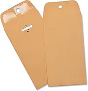 Business Source Clasp Envelopes Clasp Enevelope, 3-3/8"x6 (36669)