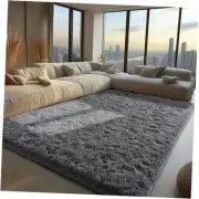 Area Rugs for Living Room Grey Rugs for Bedroom 4x6 Carpet Fluffy Fuzzy Soft