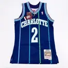 Mitchell & Ness Charlotte Hornets Jersey Mens Small NBA Swingman Larry Johnson