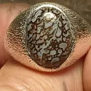 NATURAL BLUE SPIDERWEB COLORADO DINOSAUR BONE RING