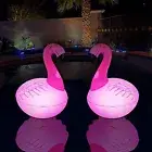 FLOATING POOL LIGHTS Solar Flamingo LED Glow in The Dark Solar 2 Pcs RUKARS