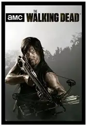 AMC FILMS THE WALKING DEAD DARYL & CROSSBOW POSTER PRINT NEW 24x36 FREE SHIPPING