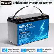 12V 100Ah LiFePO4 Lithium Iron Phosphate Battery Rechargeable Camping RV