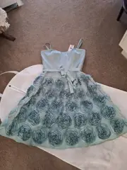 Review Pavlova Dress in Duck Egg, Size 12 New With Tags, comes with Garment Bag