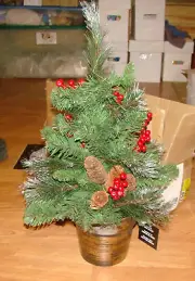 National Tree Company 2' CRESTWOOD Spruce Artifical Christmas Tree, Lighted