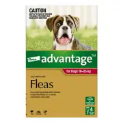 Bayer Advantage Dog 10-25kgs Large 4 & 6 Pack Flea Tick Remedy Canine Spot On