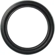 Dexter 01000900 Grease Seal