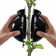 Ozoffer 5Pcs Plant Rooting Device High Pressure Propagation Ball Root Grow Grafting Box L size