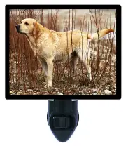 Dog Decorative Photo Night Light, Yellow Lab, Labrador Retiever