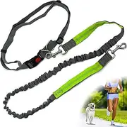 Zenify Hands Free Dog Lead for Running, Walking, Hiking, Canicross Dual Handle Comfortable Waist Belt Leash Band Reflective Stitching Adjustable Bungee Length Extendable 125cm - 190cm (Grey/Green)