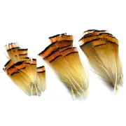 GOLDEN PHEASANT TIPPET FEATHERS - Hareline Fly Tying - Small Medium Large NEW!