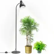 Grow Light Floor Lamp, 5000K Full Spectrum 25W LED Grow Light for Indoor Plan...