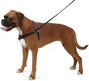 Ancol/Pure Dog Listeners - Stop Pulling Dog Training Harness & Lead Set - X-Large Size 8-9 (inc DVD)