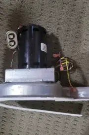 Carrier Bryant commercial inducer motor 50DK406815