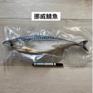 [海時代] 薄鹽挪威鯖魚/400~450g/鯖魚/鯖魚片/整尾鯖魚/挪威鯖魚/鯖魚頭/