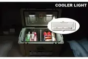 Fraser Country: Ice Box Chilly Bin Motion Sensor LED Light