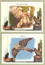 BIRDS of PREY ~ Pair of 2023 Allen & Ginter TALONted cards ~ FREE SHIPPING