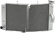 Radiator Grille Fit For Kawasaki Ninja ZX-10R ZX-10RR 2021-2024 Motorcycle Radiator Cooler Engine Cooling Engine Radiator