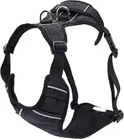 TOTTO - Heikul Dog Chest Harness, Large, Small Dog Harness, Adjustable, Reflective Detailing, Loop and Handle, Easy to Fit, Lightweight, Black